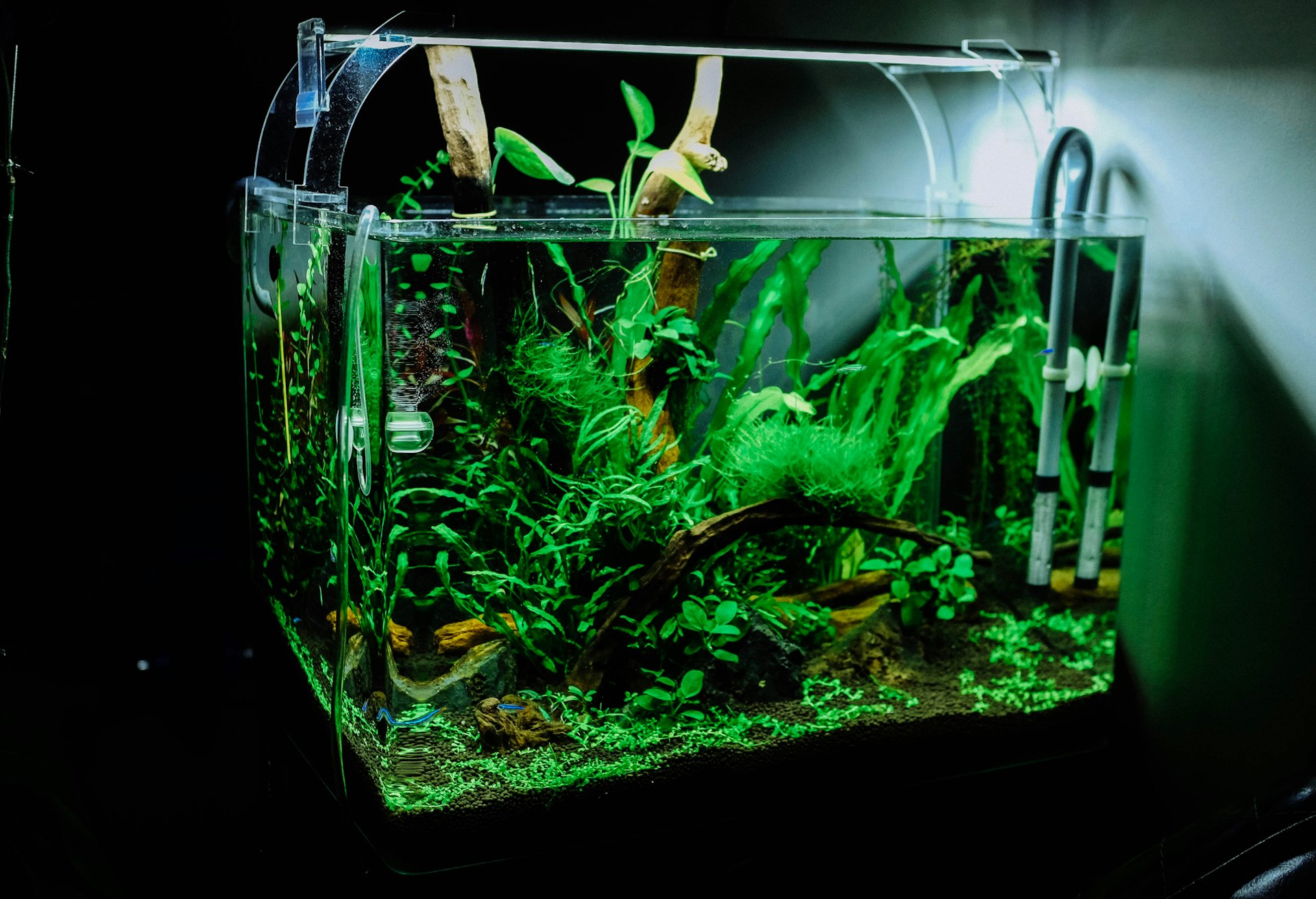 Acuario equipado